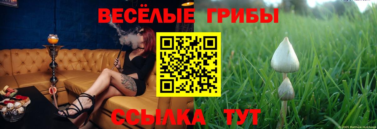 Псилоцибиновые грибы Cubensis  Галлюциногенные грибы прущие грибы  Биробиджан  Вход с VPN 